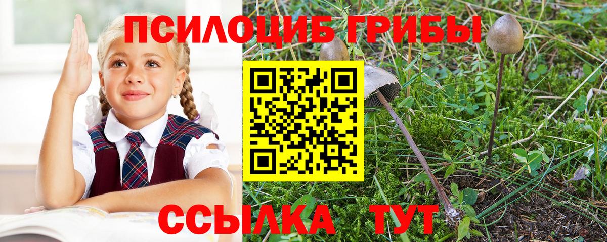 Северобайкальск  Галлюциногенные грибы мухоморы  Вход с VPN 